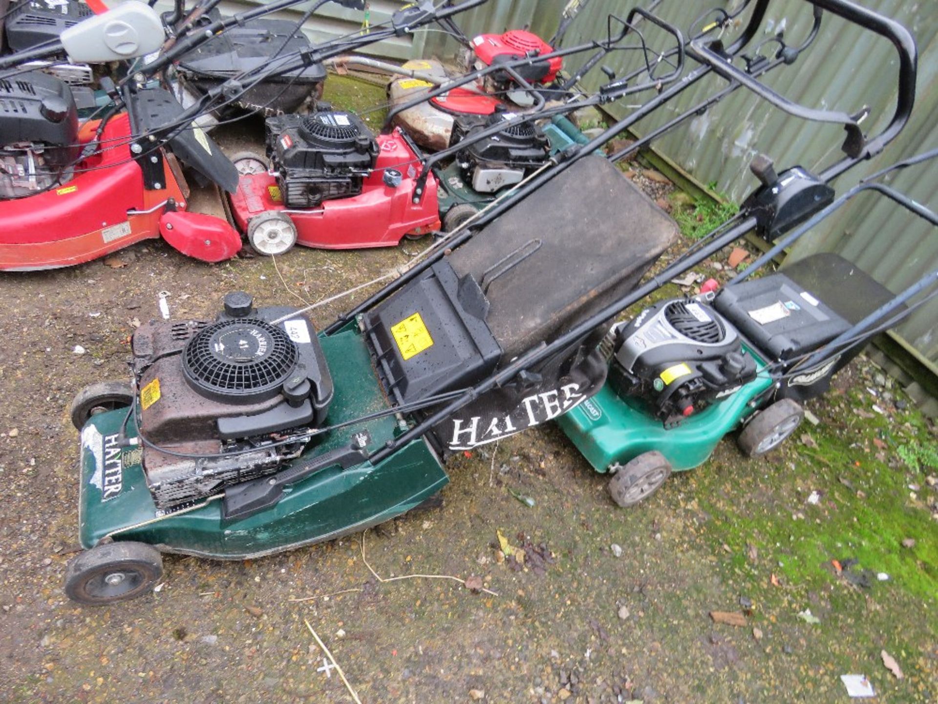 HAYTER HARRIER 41 ROLLER MOWER WITH COLLECTOR.....THIS LOT IS SOLD UNDER THE AUCTIONEERS MARGIN SCHE - Image 2 of 3
