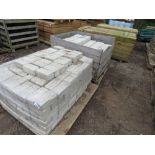 2 X PALLETS OF LIGHT GREY BLOCK PAVERS.....THIS LOT IS SOLD UNDER THE AUCTIONEERS MARGIN SCHEME, THE