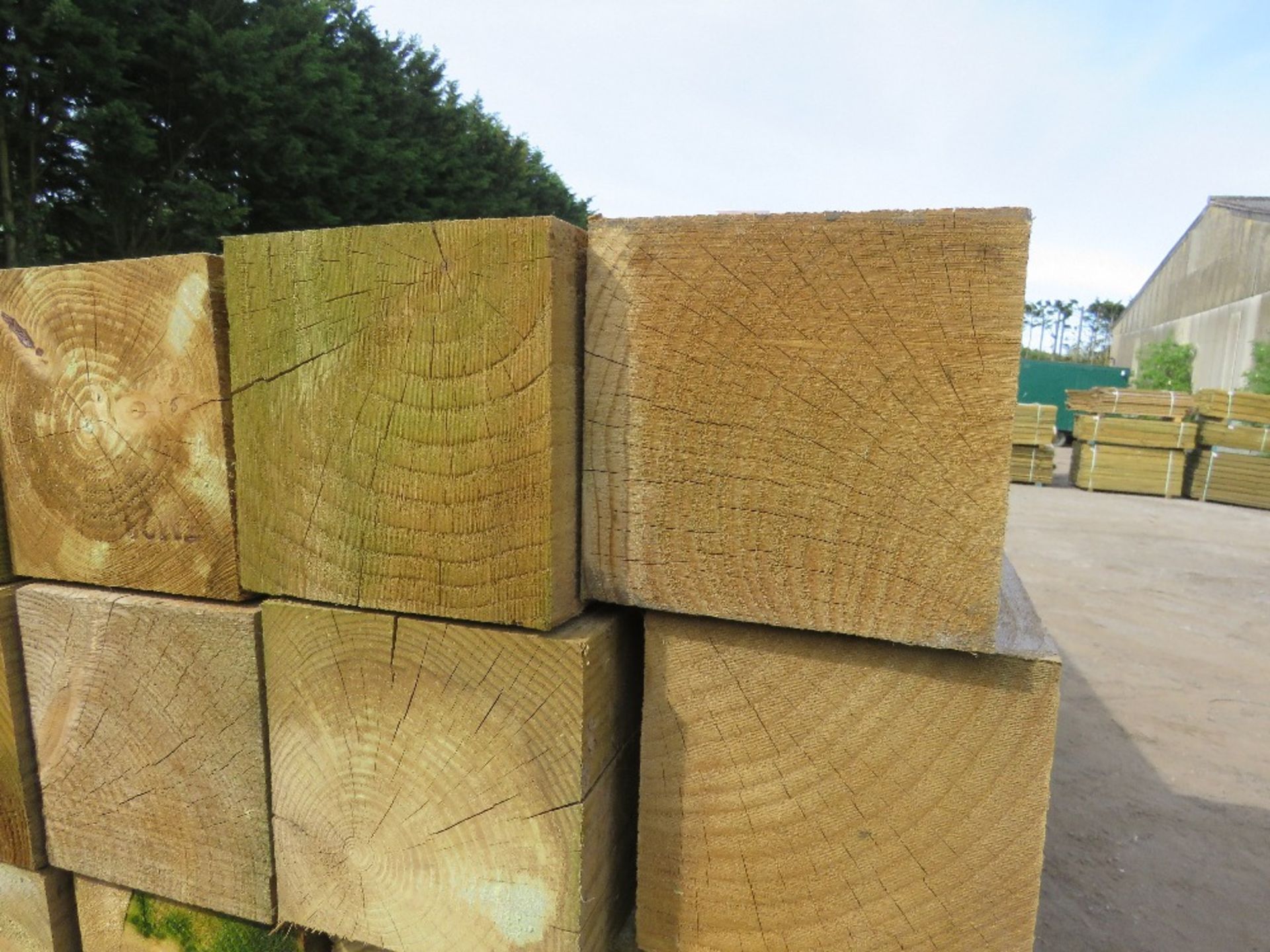 25NO LARGE TREATED TIMBER POSTS 150MMX 150MM @2280MM LENGTH APPROX. - Image 3 of 4