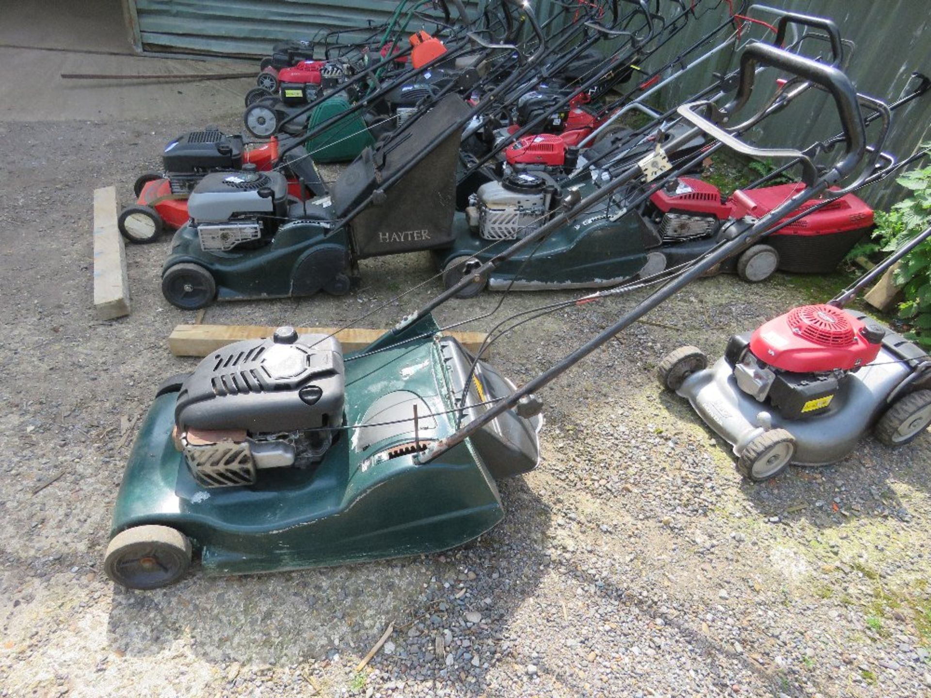 HAYTER HARRIER 56 PETROL ENGINED MOWER WITH REAR ROLLER AND NO COLLECTOR. ....THIS LOT IS SOLD UNDER