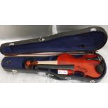 VIOLIN PROJECT WITH CASE