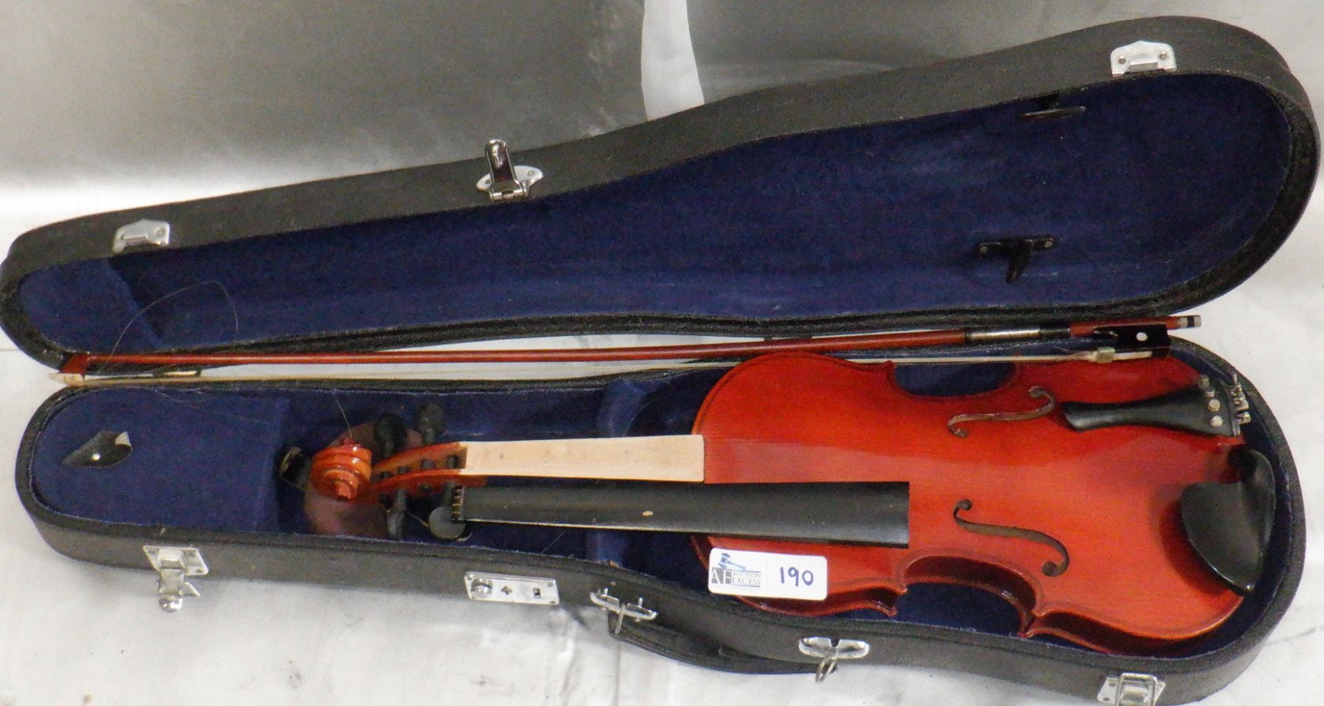 VIOLIN PROJECT WITH CASE