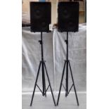 LOT OF 2 ACOUSTIC BASS SPEAKERS WITH STANDS
