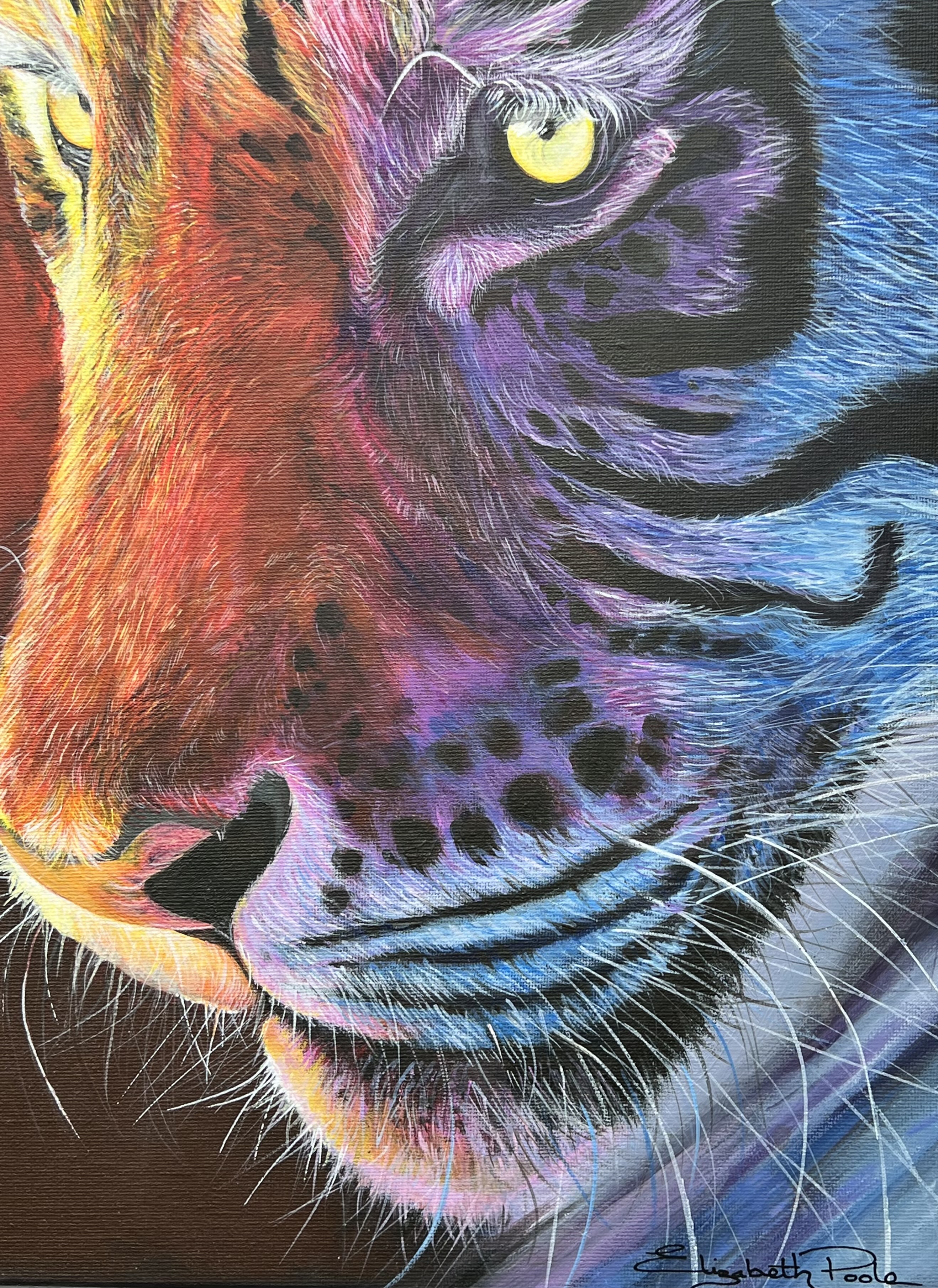 Tiger portrait by Liz Poole - Image 4 of 6