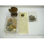 Specimen Mineral, Fossil or Shells lot