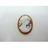 Unmounted Cameo