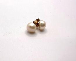 9ct gold pearl stud earrings