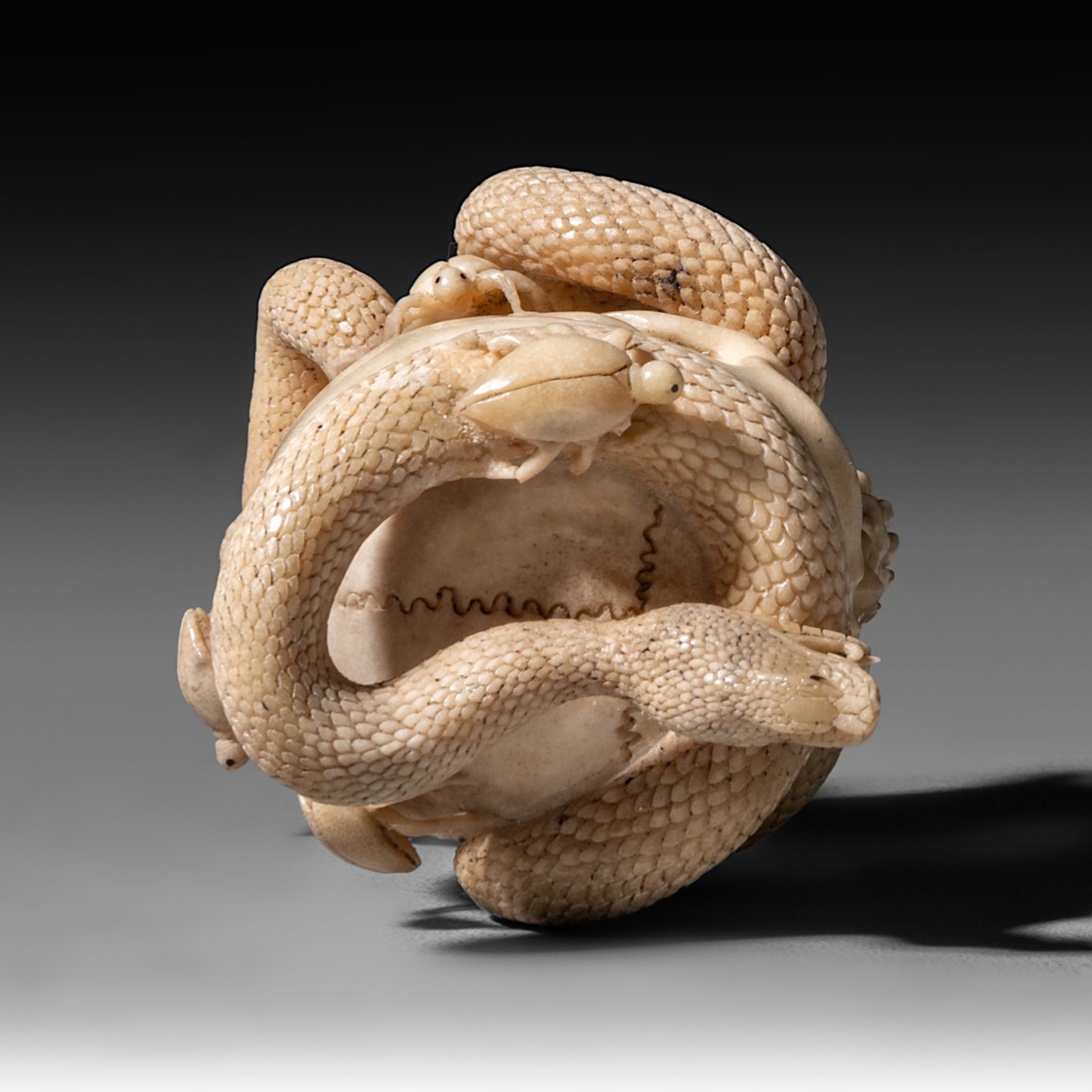 A (German) skull and snake sculpture, bone, 18th - 19th century, H 7,9 cm - weight 79 g - Image 8 of 9