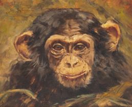Joseph Schippers (1868-1950), portrait of a chimpanzee, oil sketch on hardboard 24 x 30 cm. (9.4 x 1