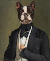 Thierry Poncelet (1946), the portrait of gentleman French bulldog, oil on canvas 65 x 53 cm. (25.5 x