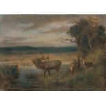 Franz X. von Pausinger: Deer on the lakeshore