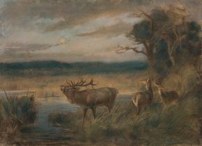 Franz X. von Pausinger: Deer on the lakeshore