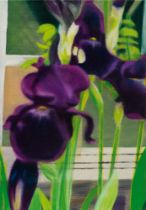 Alexandra Wacker: Purple irises