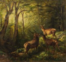 Franz X. von Pausinger: Deer in a sunny forest clearing