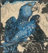 Ludwig Heinrich Jungnickel: Two blue macaws