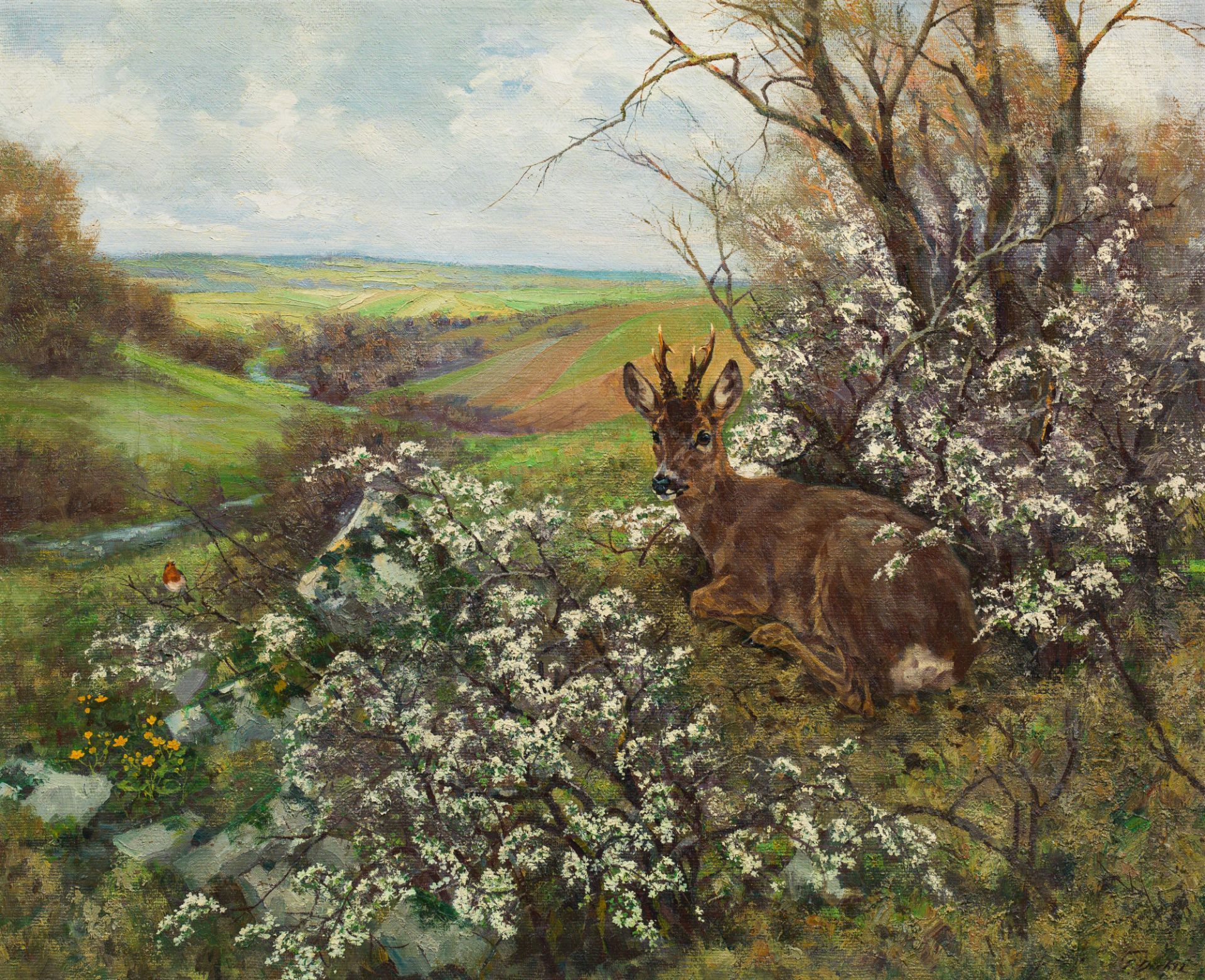 Erich Dichtl: Resting roebuck in a spring landscape