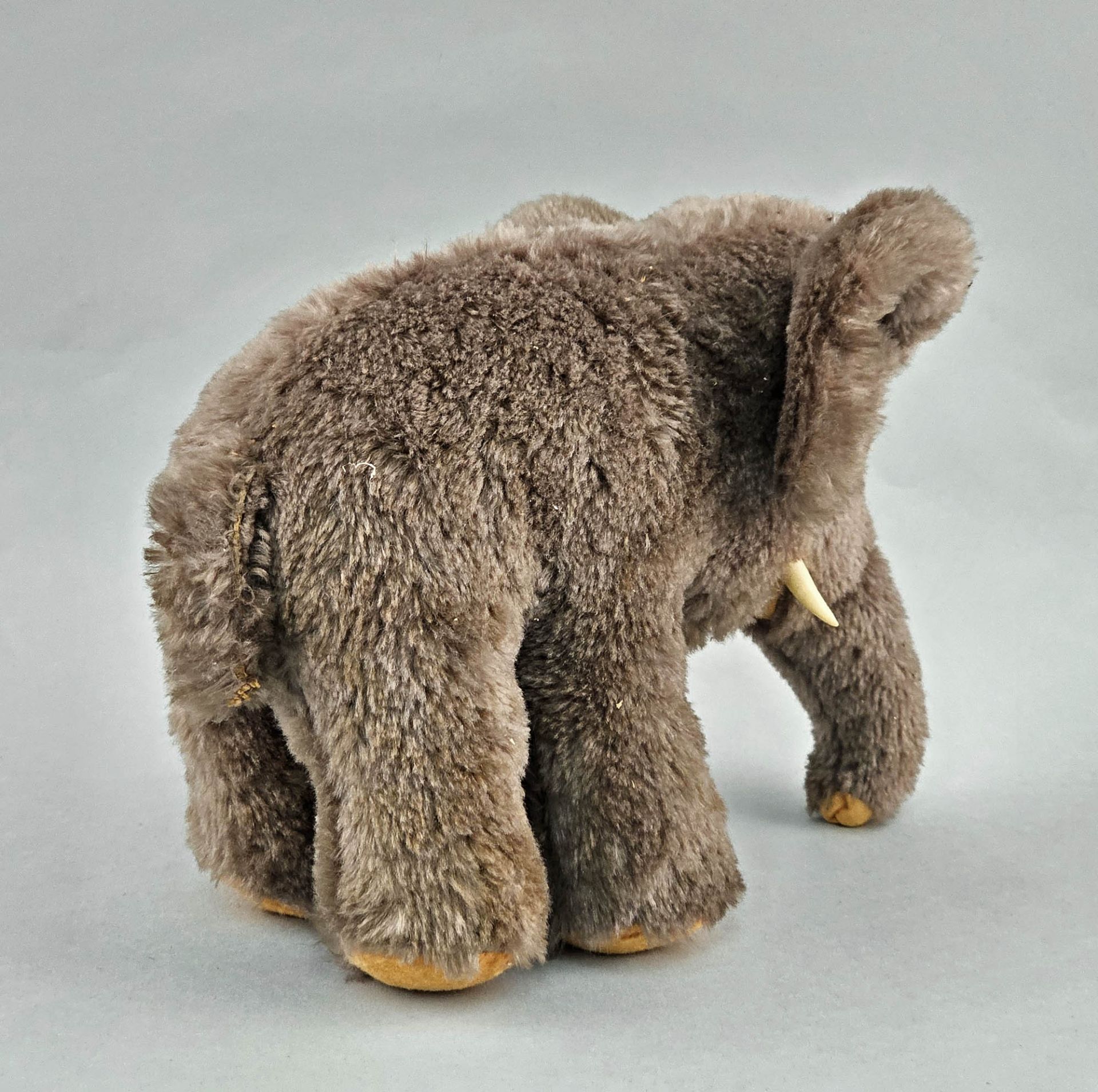 Mammut - Bild 4 aus 5