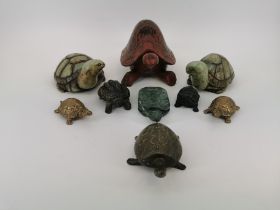 9 SCHILDKRÖTEN