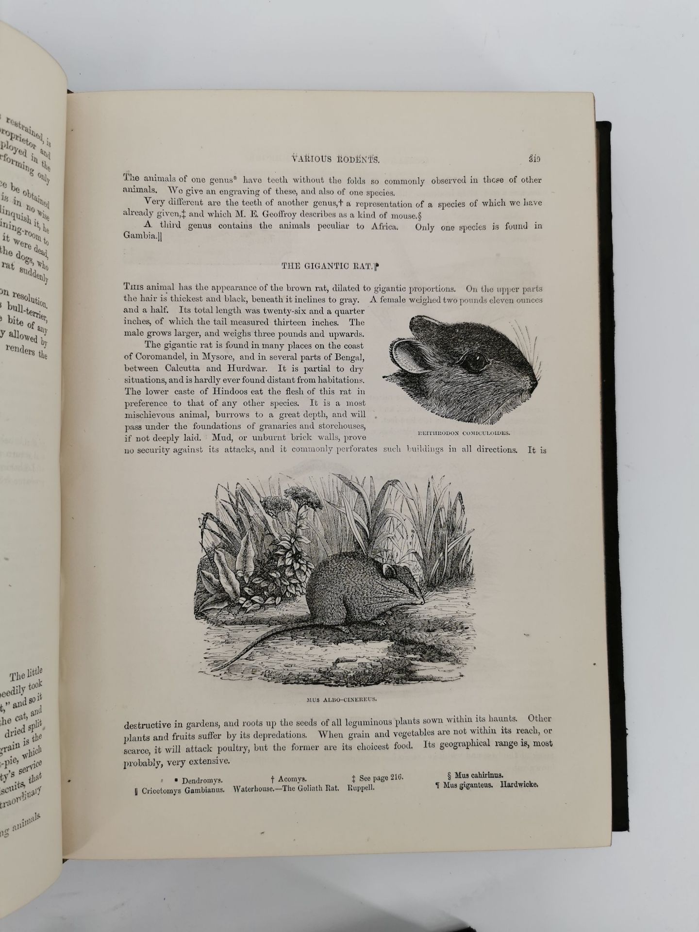 NATURAL HISTORY BOOKS - Image 5 of 5