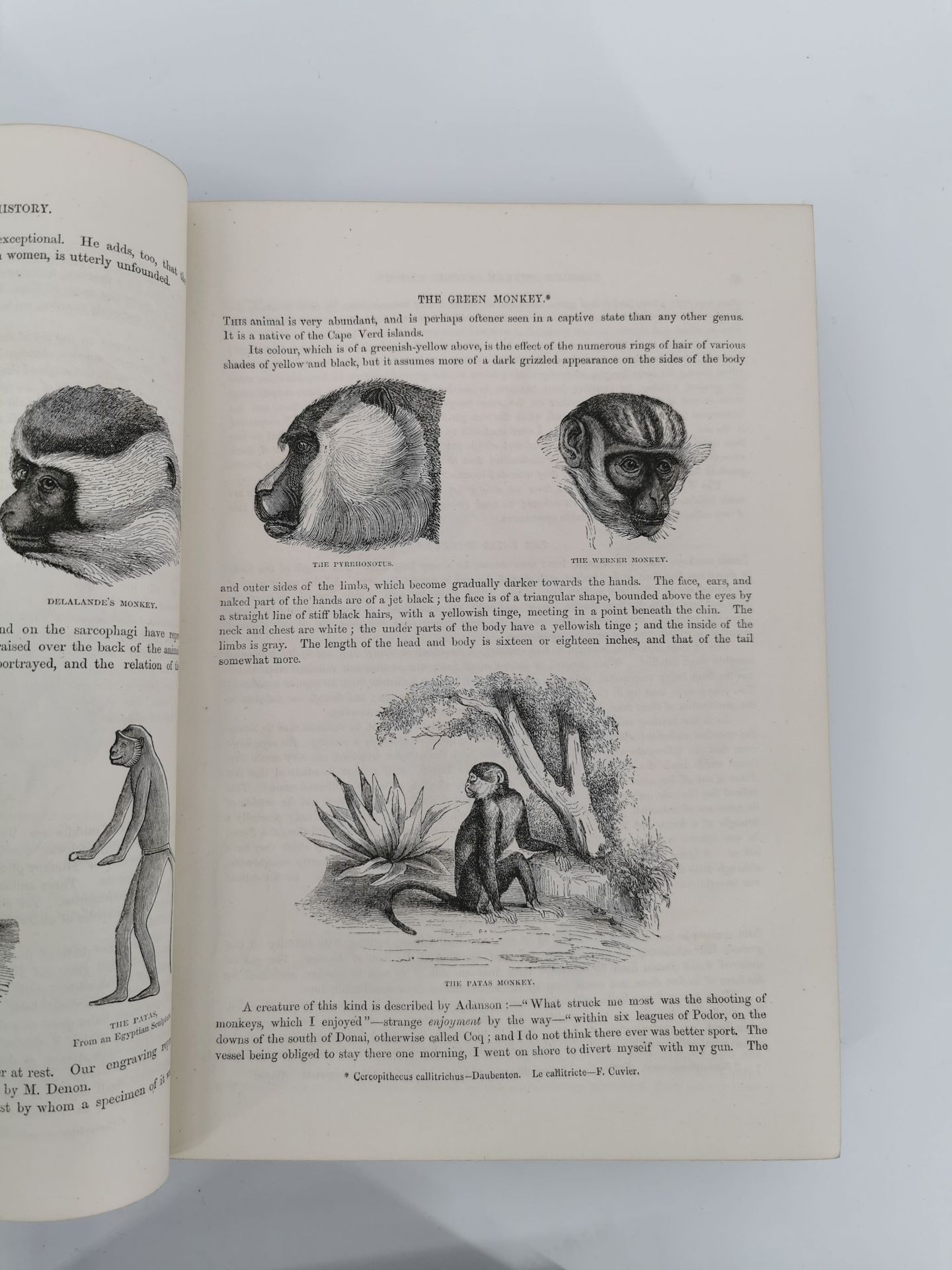 NATURAL HISTORY BOOKS - Image 4 of 5