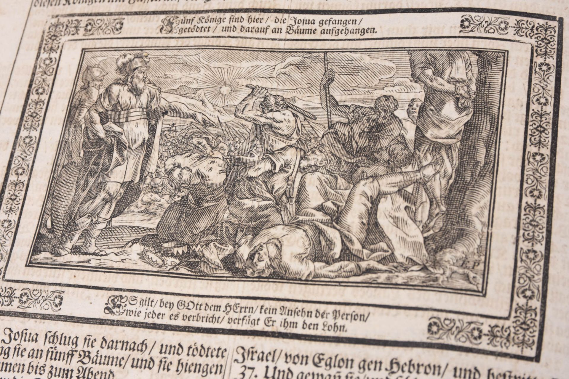 Luther Bibel, 1710 - Bild 12 aus 16
