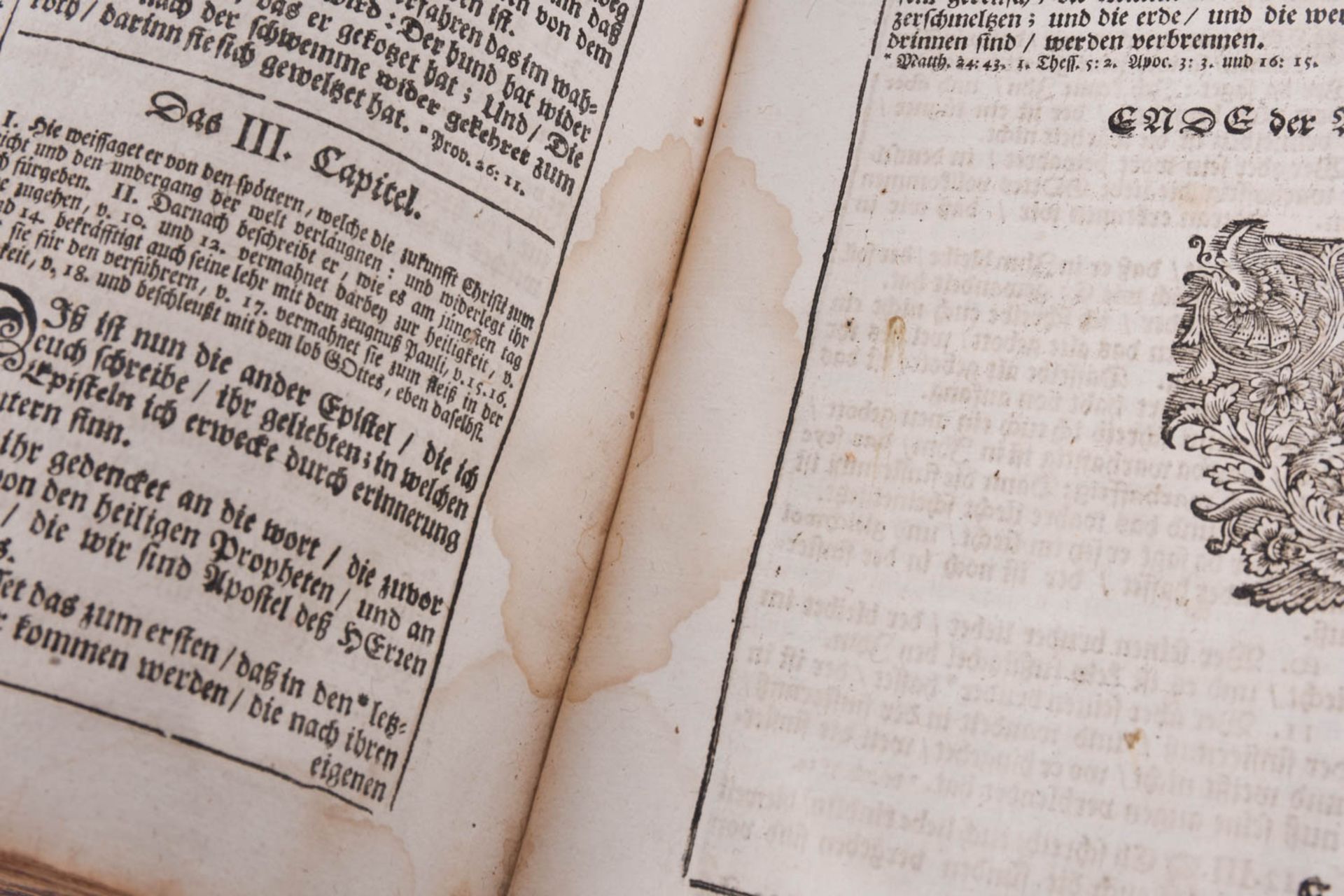 Biblia, 1728 - Bild 15 aus 15
