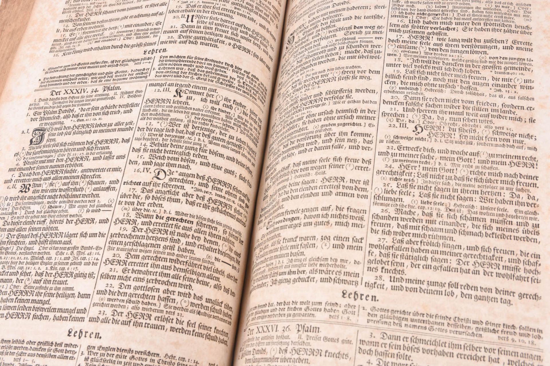 Biblia, 1736 - Bild 11 aus 12