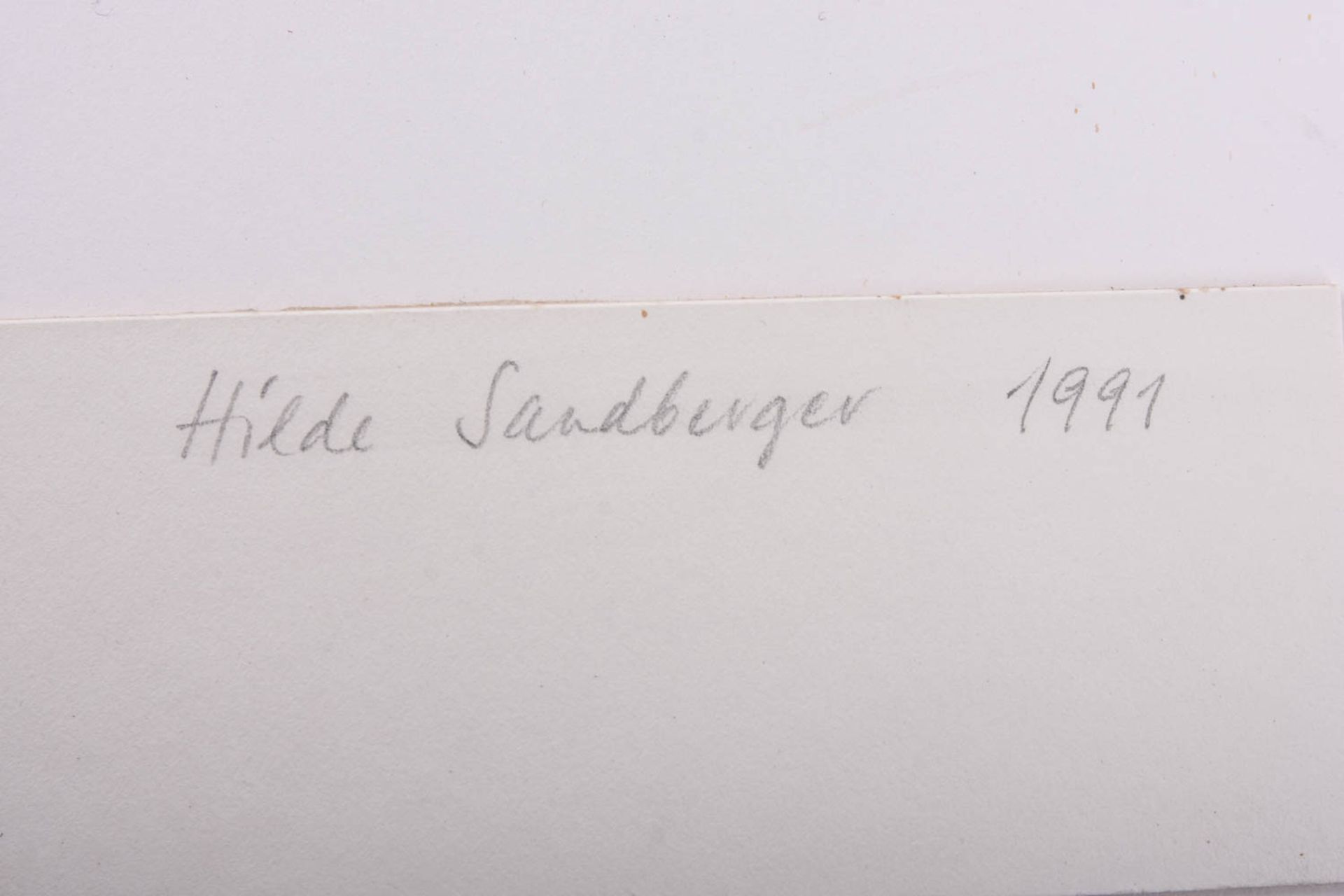 Hilde Sandberger, Kann und Sonnenblume, 1991 - Bild 5 aus 6