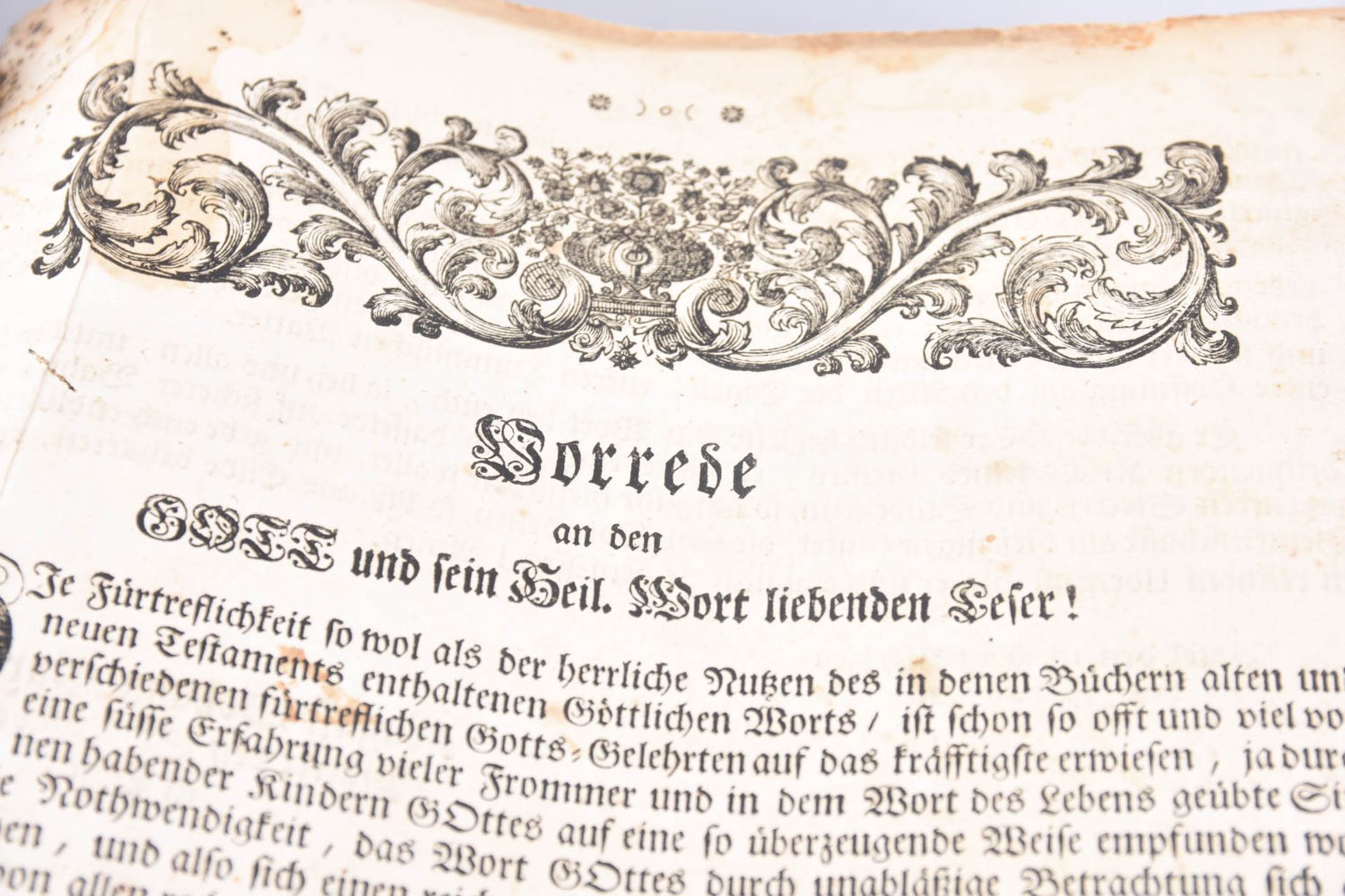 Luther Bibel, 1739 - Image 8 of 11