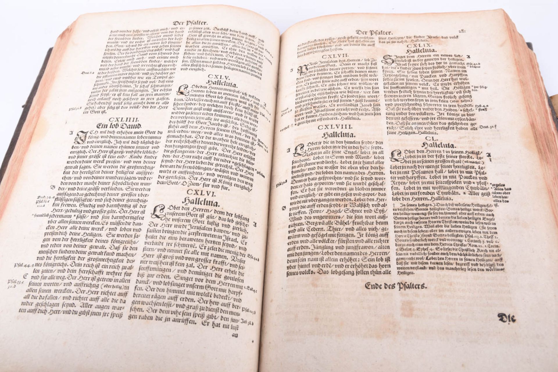 Bibel, 1610 - Image 15 of 17
