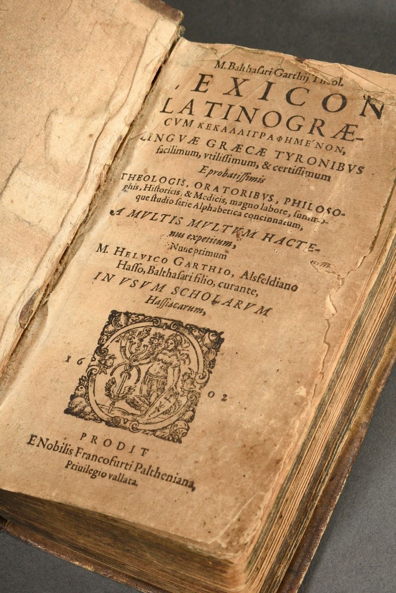 Band Garth, Balthasar (1550-1598) "Lexicon latino-graecum kekalligraphemenon, Linguae Graecae Tyron