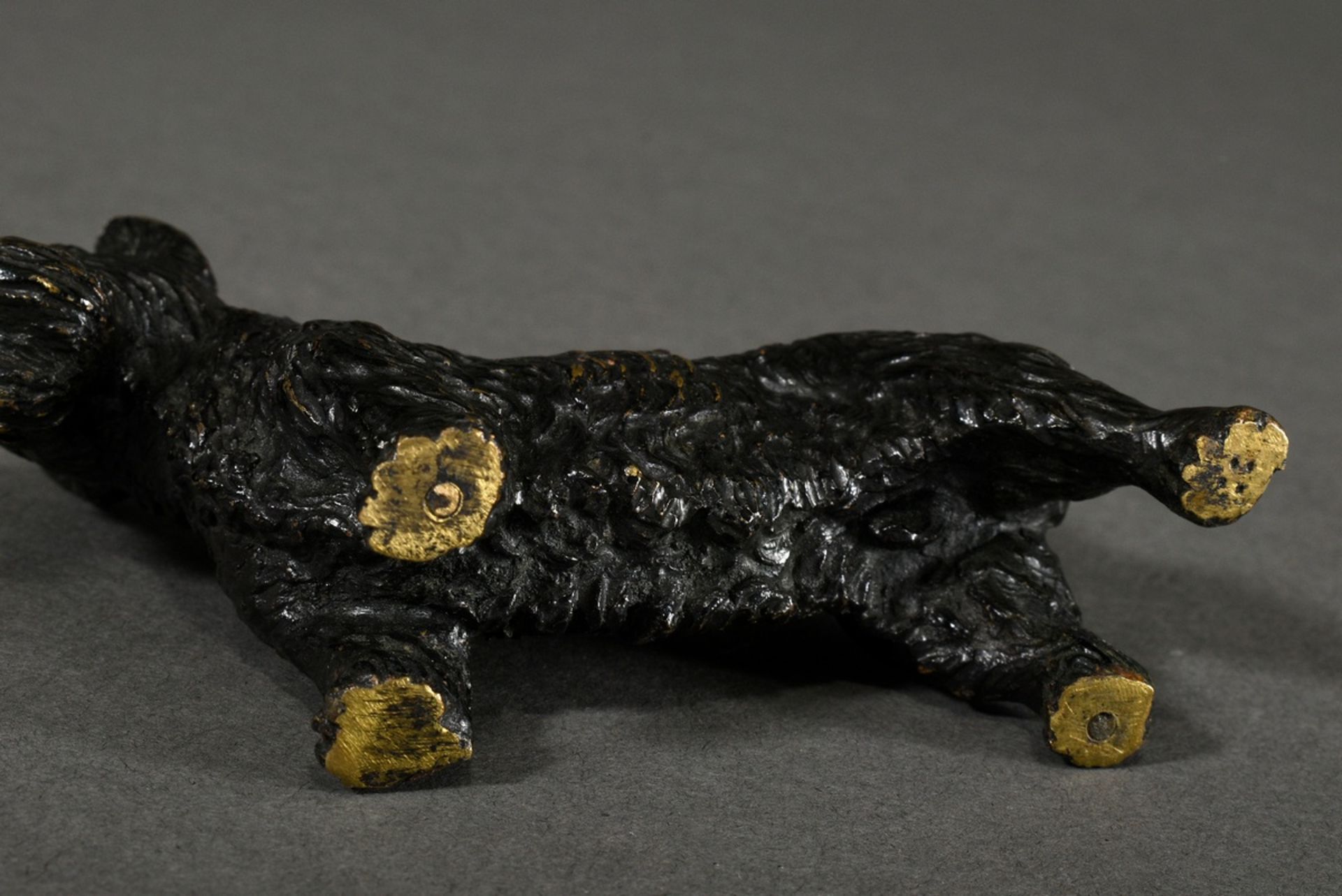 Kleine Bronze "Scotch Terrier" in feiner Ausführung, Anfang 20.Jh., 8x11x3,3cm - Bild 5 aus 5