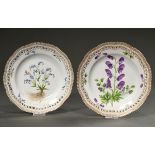 2 Flora Danica plates with openwork rim and polychrome painting "Aconitum Napellus L." (3553) and "