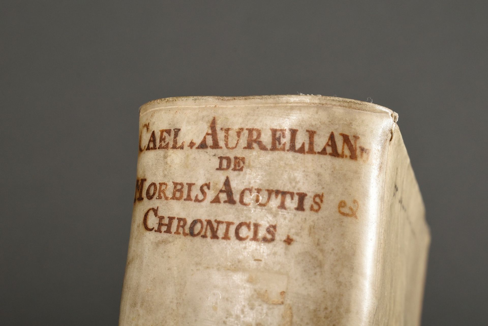 Band "Caelius Aurelianus de Morbis Acutis et Chronicis", Amsterdam 1709, Kupferstich als Frontispiz - Bild 4 aus 8