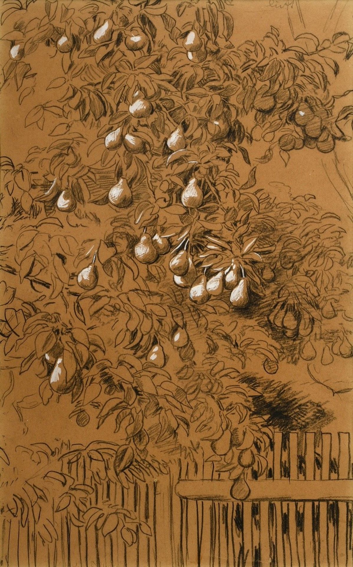 Thoma, Hans (1839-1924) "Pear tree", charcoal drawing heightened with white, sign. below., inscr. o