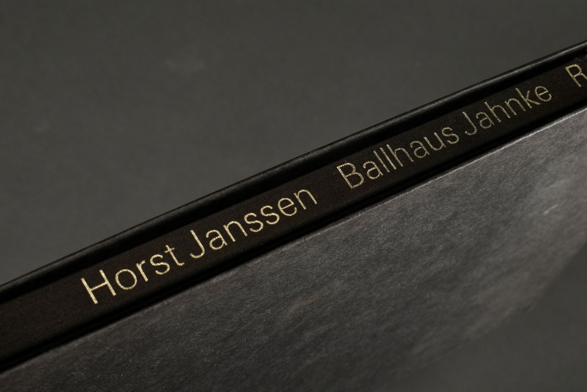 Volume Horst Janssen (1929-1995) "Ballhaus Jahnke, Radierungen" 1969, edited by Wieland Schmied, In - Image 9 of 9