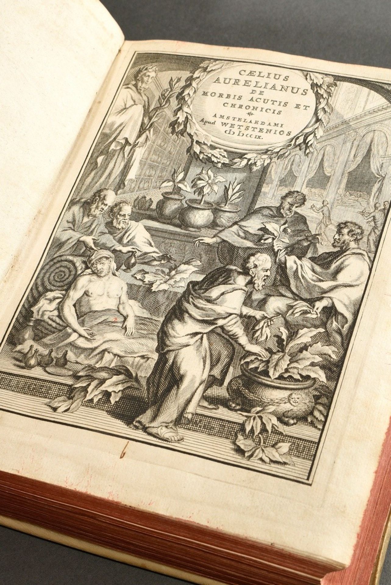 Band "Caelius Aurelianus de Morbis Acutis et Chronicis", Amsterdam 1709, Kupferstich als Frontispiz - Bild 2 aus 8
