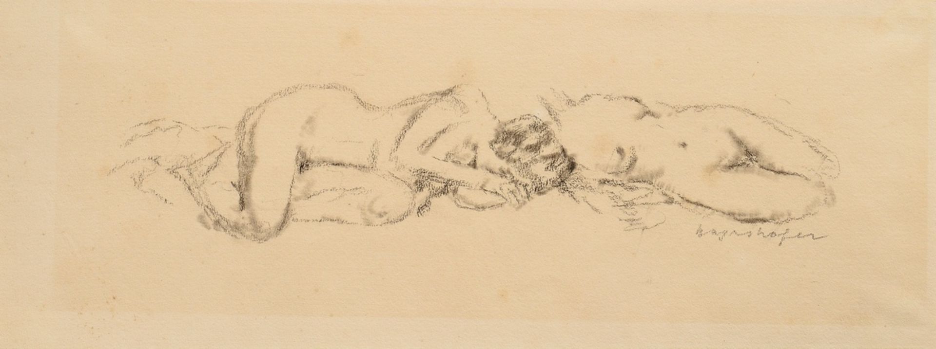 17 Mayershofer, Max (1875-1950) "Female nude drawings", charcoal, each sign., each mounted in passe - Image 16 of 19