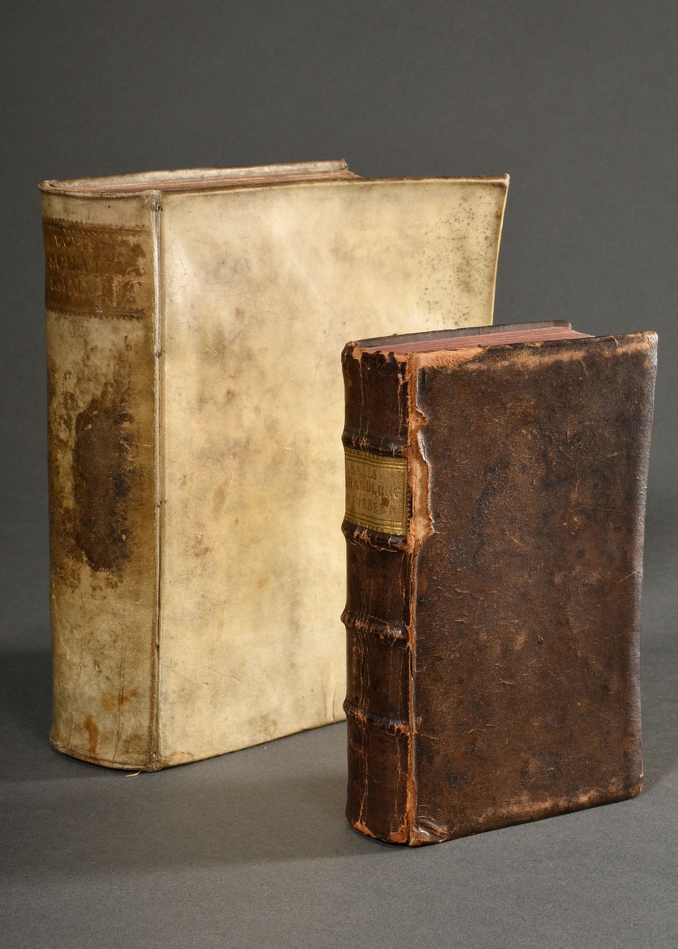 2 Diverse Bände medizinische Literatur: Bd. Johann Jacob Woyts "Gazophylacium Medico-Physicum Oder  - Bild 2 aus 10
