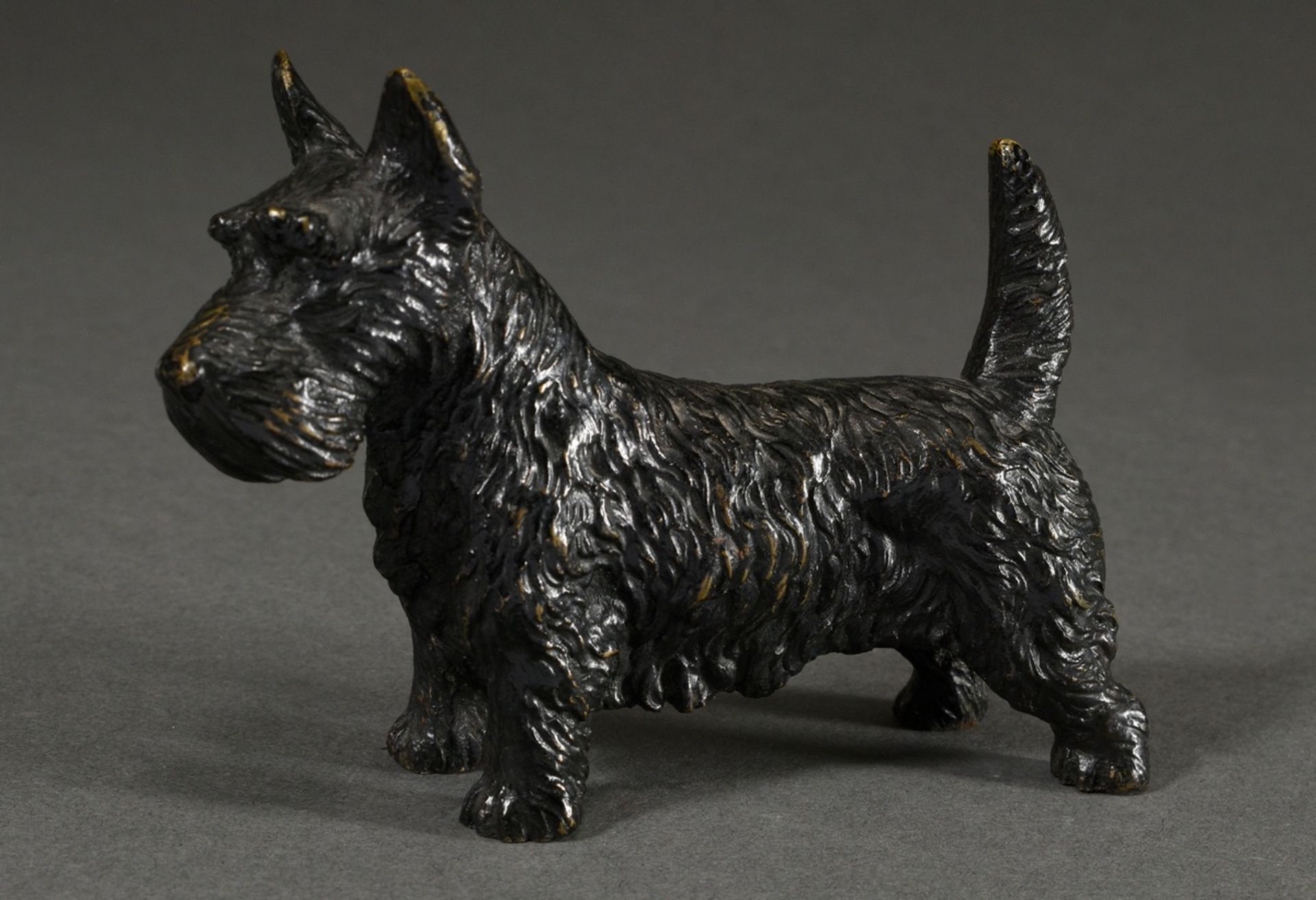 Kleine Bronze "Scotch Terrier" in feiner Ausführung, Anfang 20.Jh., 8x11x3,3cm