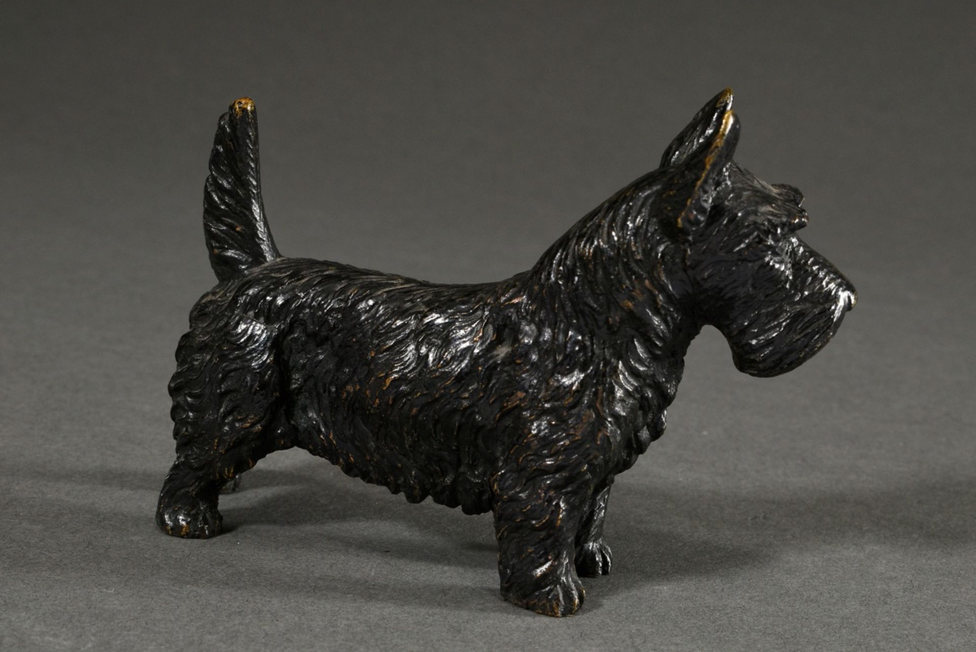 Kleine Bronze "Scotch Terrier" in feiner Ausführung, Anfang 20.Jh., 8x11x3,3cm - Bild 2 aus 5