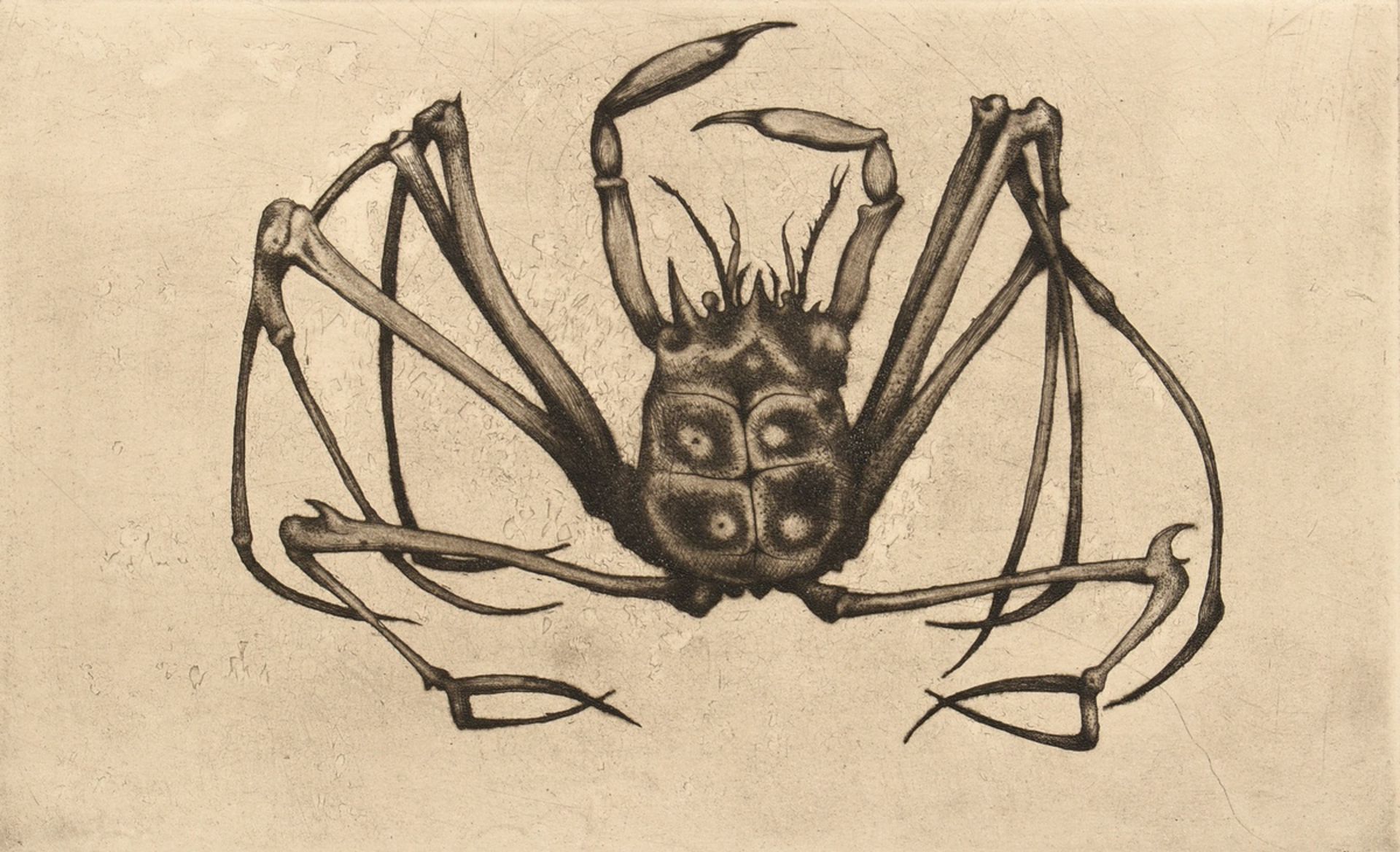 Derpapas, Georgios (1937-2014) "Crab" 1961, etching, probably Griffelkunst, sign. b.r., PM 20,5x33,