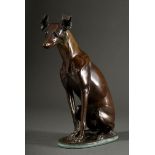 Reschke, Carl (1872-?) "Sitzender Windhund" 1910, Bronze, auf der Plinthe bez./dat., H. 36cm
