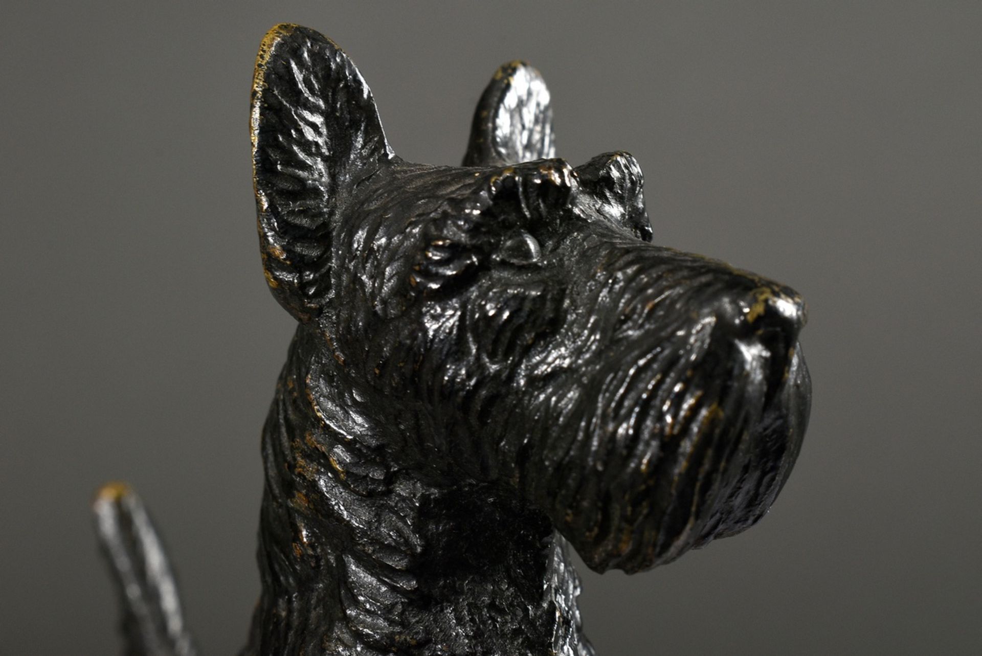 Kleine Bronze "Scotch Terrier" in feiner Ausführung, Anfang 20.Jh., 8x11x3,3cm - Bild 4 aus 5