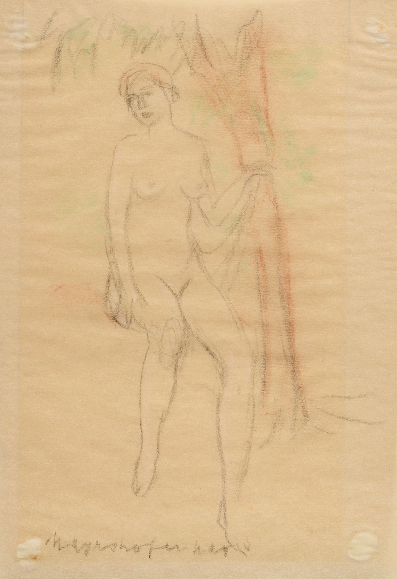 17 Mayershofer, Max (1875-1950) "Weibliche Aktzeichnungen", Kohle/z.T. Buntstift, je sign., je im P - Bild 17 aus 20