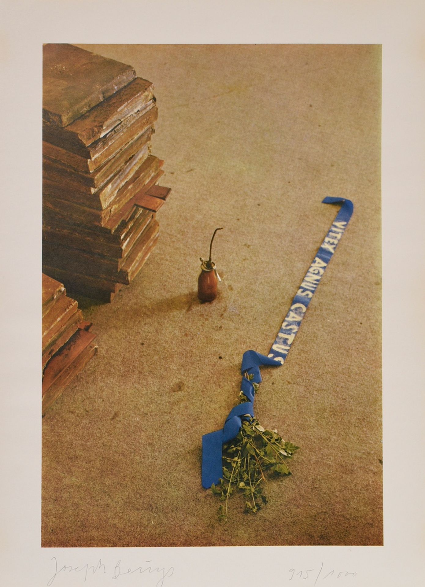 Beuys, Josef (1921-1986) "Vitex Agnus Castus" 1973, Farboffset, 915/1000, u. sign./num., mit Origin - Bild 2 aus 5