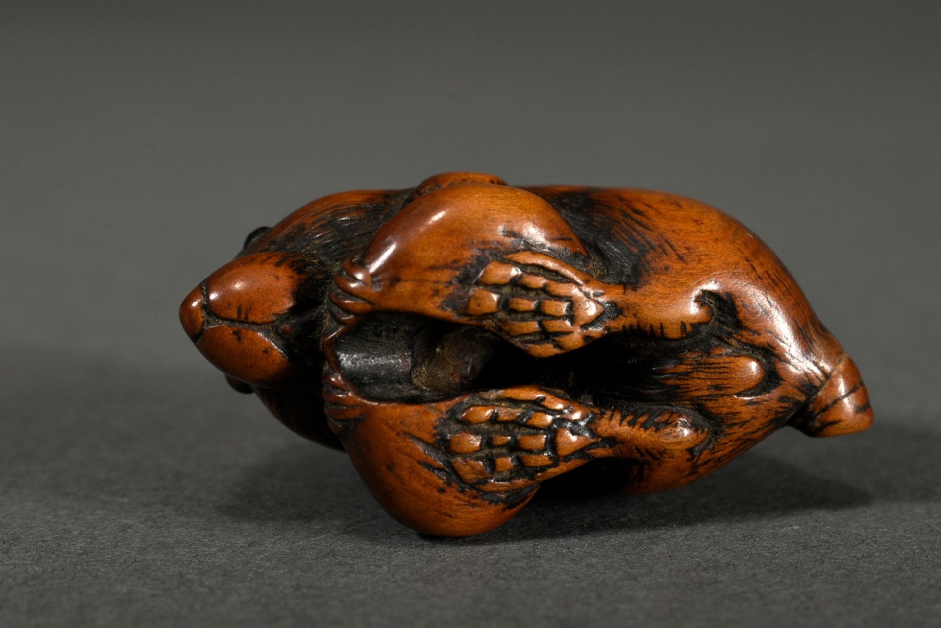 Boxwood netsuke "Rat with chestnut", inlaid horn eyes, beautiful patina, Japan, h. 2.9cm, old broke - Image 6 of 6