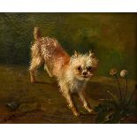 Rückert, Friedrich (1832-1893) "Terrier with Dandelion" 1879, oil/canvas, sign./dat. lower left, ma