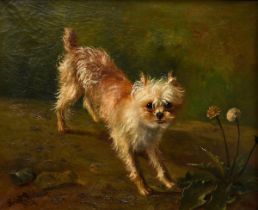 Rückert, Friedrich (1832-1893) "Terrier mit Löwenzahn" 1879, Öl/Leinwand, u.l. sign./dat., Prunkrah