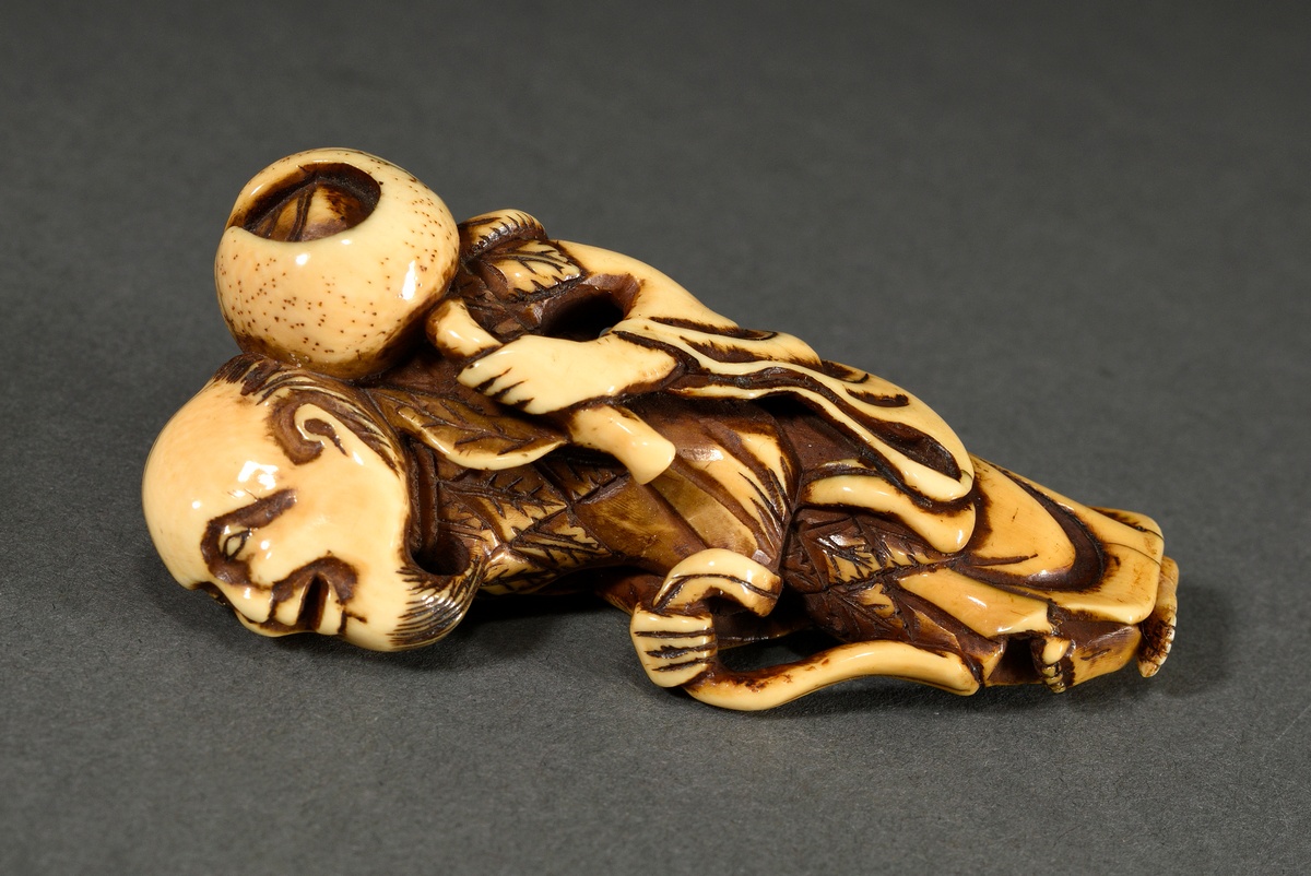 Elfenbein Netsuke "Stehender Sennin mit Flaschenkürbis", 19.Jh., verschieden große Himotoshi, schön